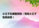 小王子在哪里探險（冒險小王子地底迷蹤）