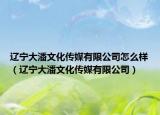遼寧大潘文化傳媒有限公司怎么樣（遼寧大潘文化傳媒有限公司）