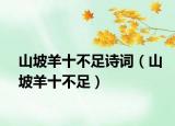 山坡羊十不足詩詞（山坡羊十不足）