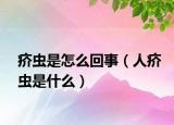 疥蟲(chóng)是怎么回事（人疥蟲(chóng)是什么）