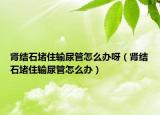 腎結(jié)石堵住輸尿管怎么辦呀（腎結(jié)石堵住輸尿管怎么辦）