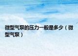 微型氣泵的壓力一般是多少（微型氣泵）