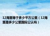 12海里等于多少平方公里（12海里是多少公里國際公認(rèn)嗎）