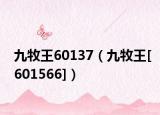 九牧王60137（九牧王[601566]）