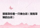 楚雨蕁你是一只豬臺(tái)詞（楚雨蕁豬的臺(tái)詞）