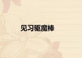 見(jiàn)習(xí)驅(qū)魔棒
