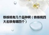 鐵核桃有幾個(gè)品種?。ㄨF核桃四大名鐵有哪四個(gè)）