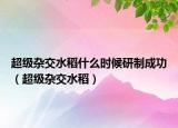 超級雜交水稻什么時候研制成功（超級雜交水稻）