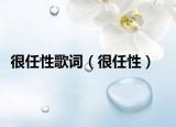 很任性歌詞（很任性）