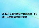 9520開頭的電話是什么意思?。?520開頭的電話是什么意思）