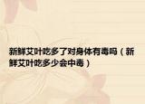 新鮮艾葉吃多了對(duì)身體有毒嗎（新鮮艾葉吃多少會(huì)中毒）