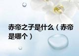 赤帝之子是什么（赤帝是哪個）