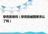 穿青族有嗎（穿青族被國家承認(rèn)了嗎）