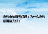 夜釣魚怕藍光燈嗎（為什么夜釣禁用藍光燈）