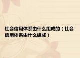 社會(huì)信用體系由什么組成的（社會(huì)信用體系由什么組成）