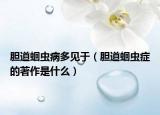 膽道蛔蟲病多見于（膽道蛔蟲癥的著作是什么）
