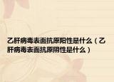 乙肝病毒表面抗原陽性是什么（乙肝病毒表面抗原陰性是什么）