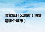 博鰲算什么城市（博鰲是哪個(gè)城市）