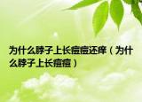 為什么脖子上長(zhǎng)痘痘還癢（為什么脖子上長(zhǎng)痘痘）