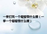 一拳打死一個嚶嚶怪什么梗（一拳一個嚶嚶怪什么梗）