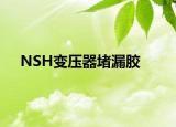 NSH變壓器堵漏膠