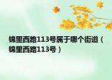 錦里西路113號屬于哪個街道（錦里西路113號）
