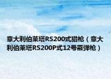 意大利伯萊塔RS200式獵槍（意大利伯萊塔RS200P式12號(hào)霰彈槍）