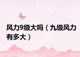 風力9級大嗎（九級風力有多大）