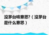 沒茅臺(tái)啥意思?（沒茅臺(tái)是什么意思）