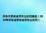 開車不系安全帶怎么處罰規(guī)定（2019年開車沒系安全帶怎么處罰）
