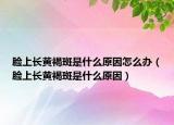 臉上長黃褐斑是什么原因怎么辦（臉上長黃褐斑是什么原因）