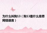 為什么叫狗13（狗13是什么意思網(wǎng)絡語言）