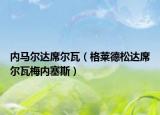 內(nèi)馬爾達(dá)席爾瓦（格萊德松達(dá)席爾瓦梅內(nèi)塞斯）