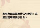 家里出現(xiàn)蟑螂是什么引起的（家里出現(xiàn)蟑螂預示什么）