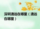 深圳清遠(yuǎn)在哪里（清遠(yuǎn)在哪里）