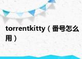 torrentkitty（番號怎么用）