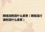網(wǎng)絡(luò)詞樹洞什么意思（網(wǎng)絡(luò)流行語樹洞什么意思）