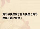 黃馬甲快遞屬于什么快遞（黃馬甲屬于哪個快遞）