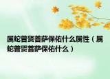 屬蛇普賢菩薩保佑什么屬性（屬蛇普賢菩薩保佑什么）