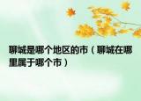 聊城是哪個(gè)地區(qū)的市（聊城在哪里屬于哪個(gè)市）
