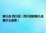 豬兒蟲 四川話（四川話的豬兒蟲是什么意思）