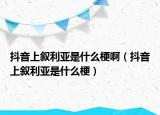 抖音上敘利亞是什么梗?。ǘ兑羯蠑⒗麃喪鞘裁垂＃? /></span></a>
                        <h2><a href=