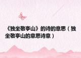 《獨(dú)坐敬亭山》的詩的意思（獨(dú)坐敬亭山的意思詩意）