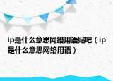 ip是什么意思網(wǎng)絡(luò)用語貼吧（ip是什么意思網(wǎng)絡(luò)用語）