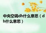 中央空調(diào)dh什么意思（dh什么意思）