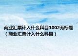 商業(yè)匯票計(jì)入什么科目1002無標(biāo)題（商業(yè)匯票計(jì)入什么科目）