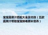 寶寶蔬菜汁搭配大全及功效（五款蔬菜汁幫助寶寶排毒素補(bǔ)營養(yǎng)）