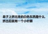 鼻子上擠出來(lái)的白色東西是什么,擠出后就有一個(gè)小針眼