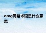 omg網(wǎng)絡(luò)術(shù)語是什么意思