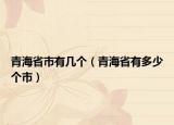 青海省市有幾個（青海省有多少個市）